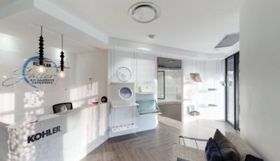 Kohler Africa 3D Model